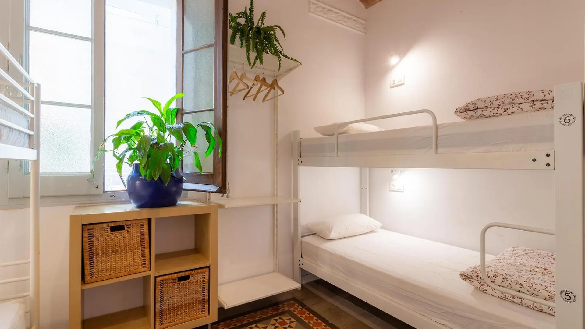 Primavera Hostel Barcelona